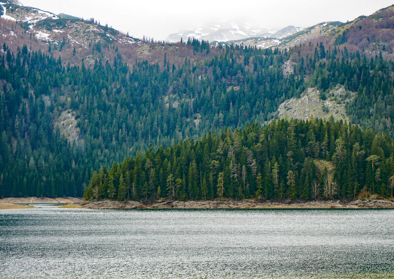 Beautiful Black Lake Durmitor National Park Montenegro