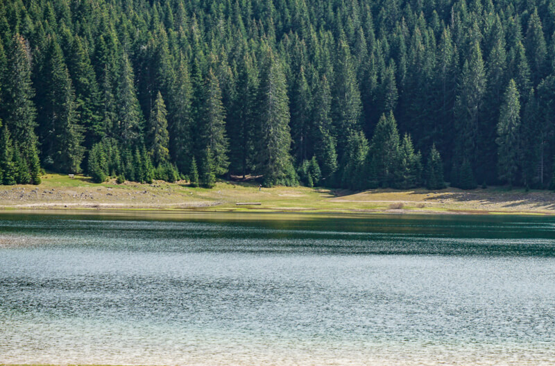 Landscape at Black Lake Montenegro