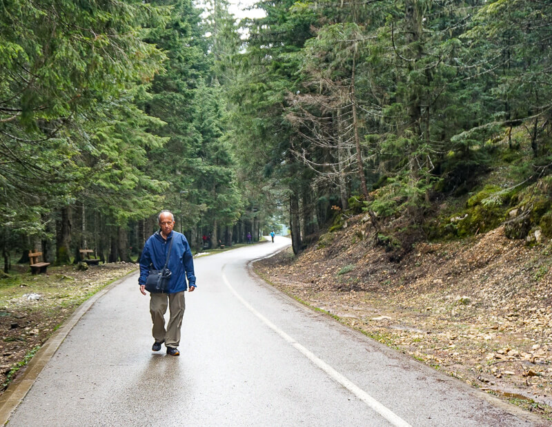 Path to Black Lake Durmitor NP Montenegro