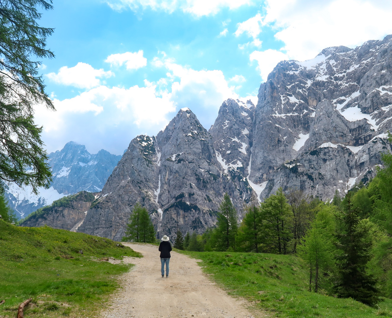 A trail in the Julian Alps in Slovenia