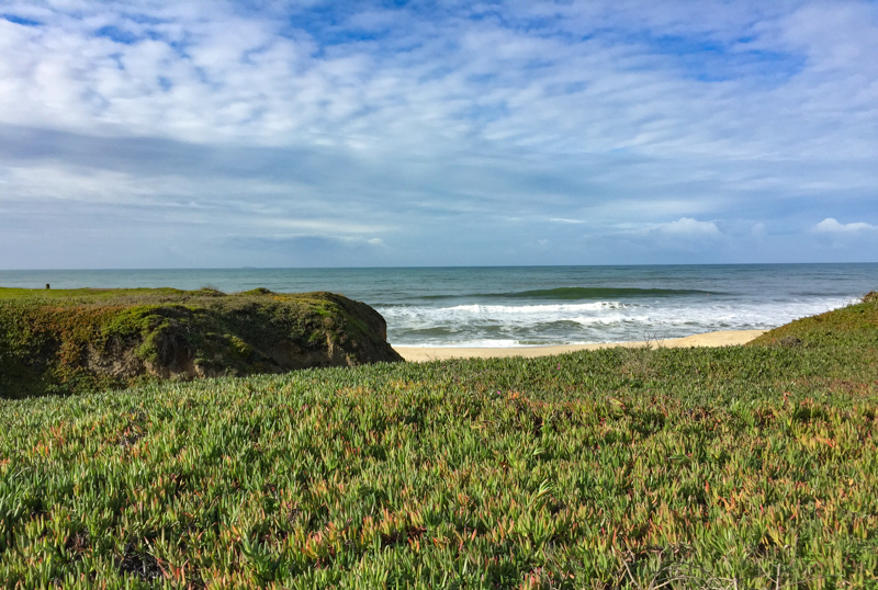 Half Moon Bay California USA