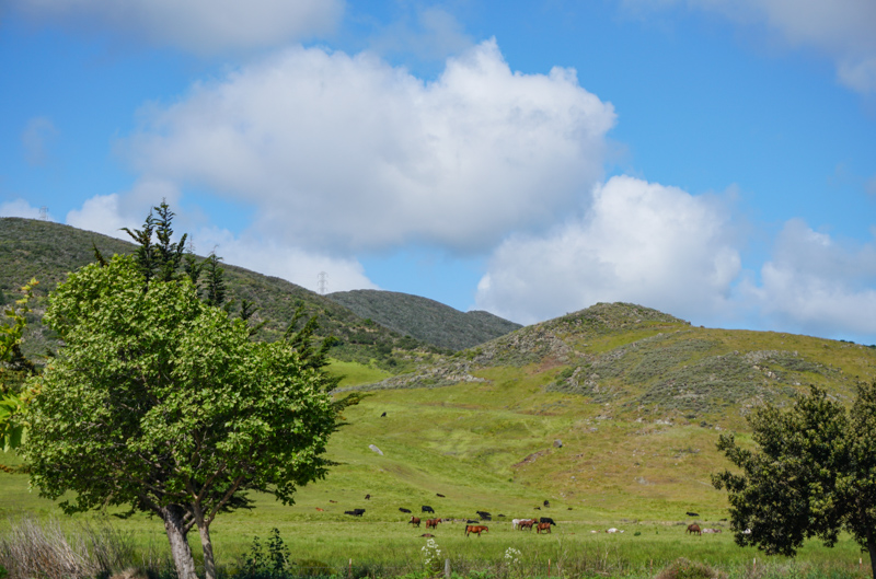 Countryside San Luis Obispo California USA