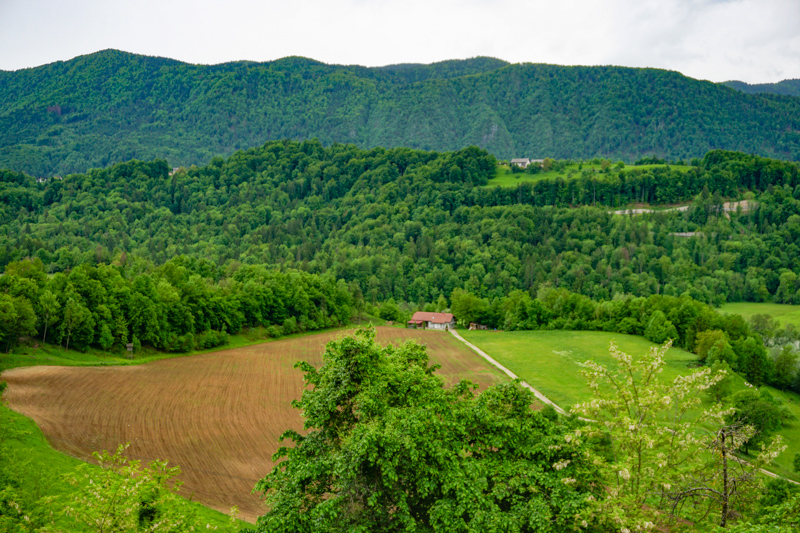 View of countryside from Radovljica Slovenia