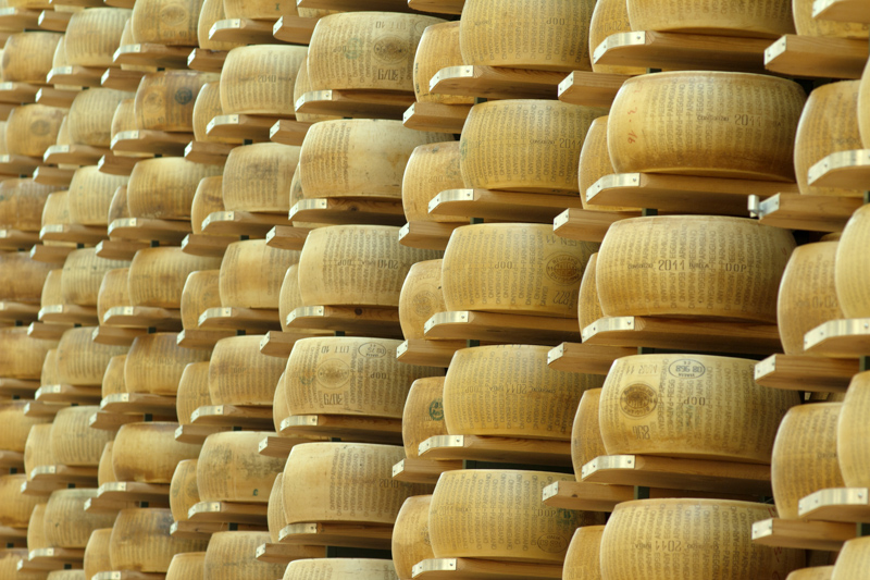Parmesan Cheese Wheels in Parma Italy