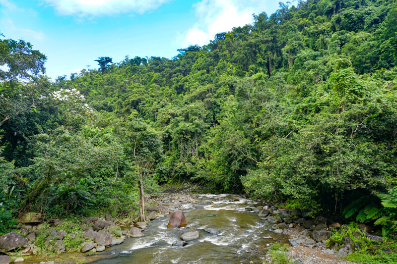 El Yunque Puerto Rico