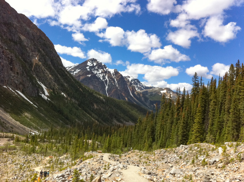 Path of the Glacier Trail Mount Edith Cavell Jasper Canada