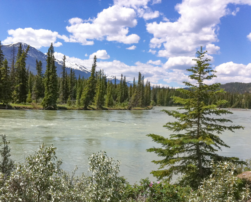 The Athabasca River in Jasper Canada