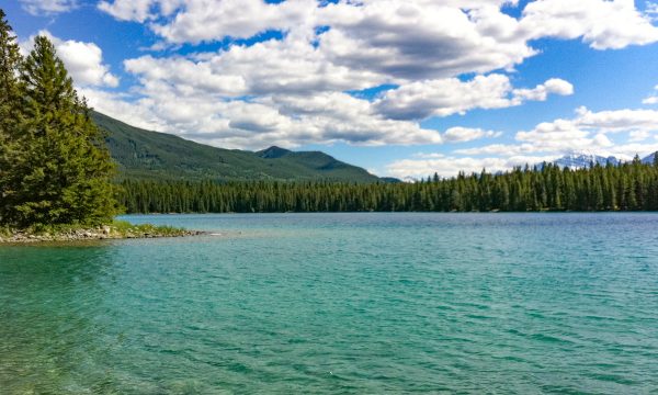 22 Things to Do in Jasper National Park for an Epic Canadian Rockies Adventure!