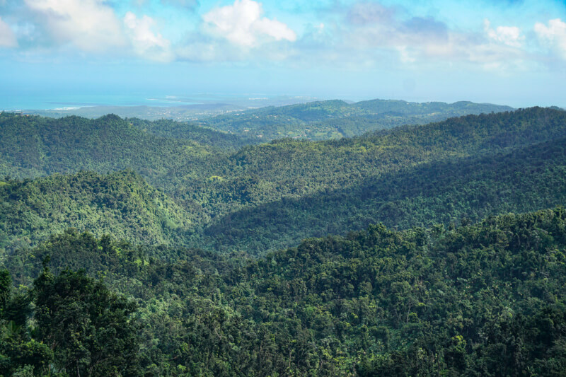 View from Tower El Yunque Puerto Rico