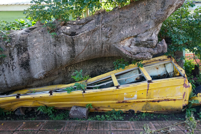 Crushed School Bus Dominica Botanical Garden