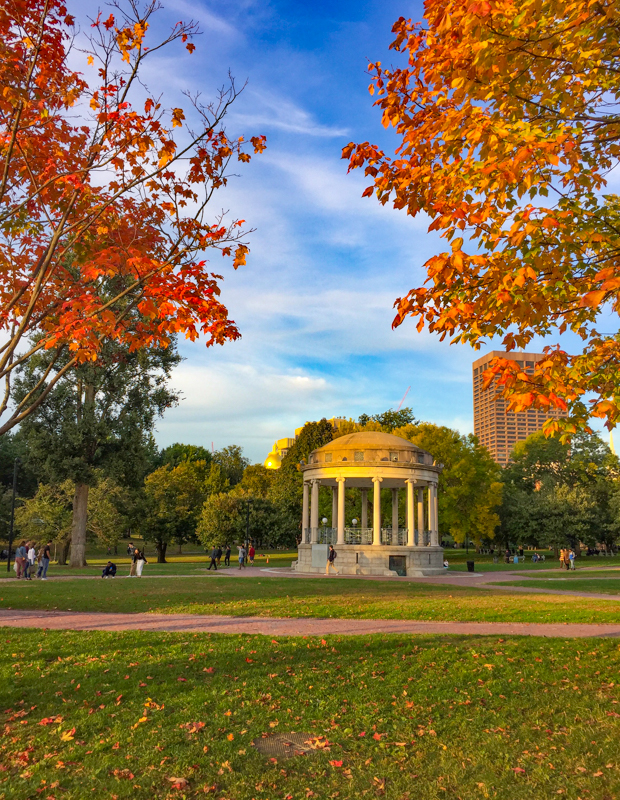 Boston Common Massachusetts USA