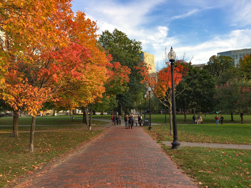 Boston Common in fall