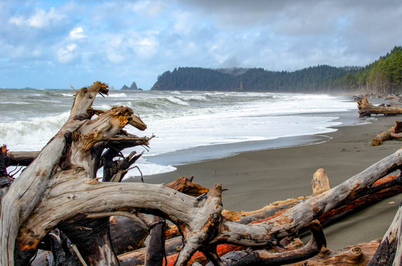 Olympic Coast Washington