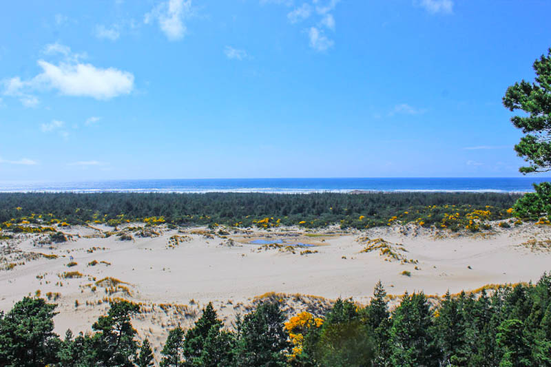 Oregon Sand Dunes National Recreation Area