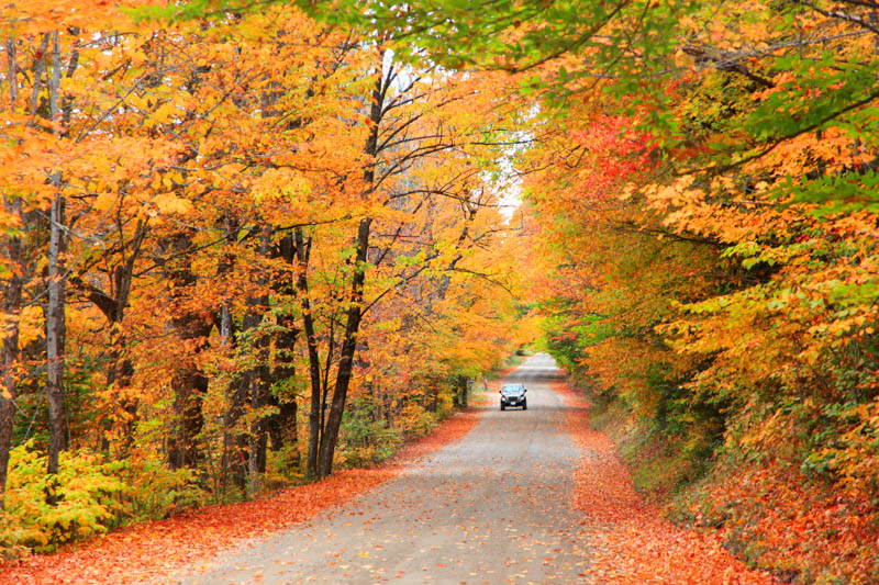 Fall in the White Mountains of New Hampshire