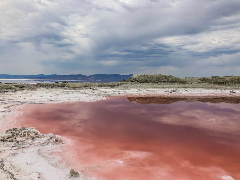 Pink water at Great Salt Lake in Utah