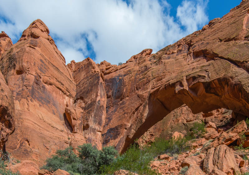 Snow Canyon State Park Utah