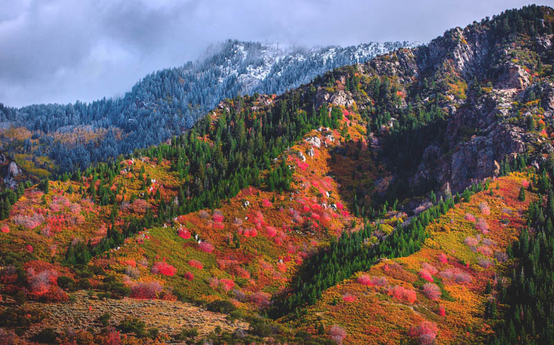 Fall colors in the Wasatch Range in Utah