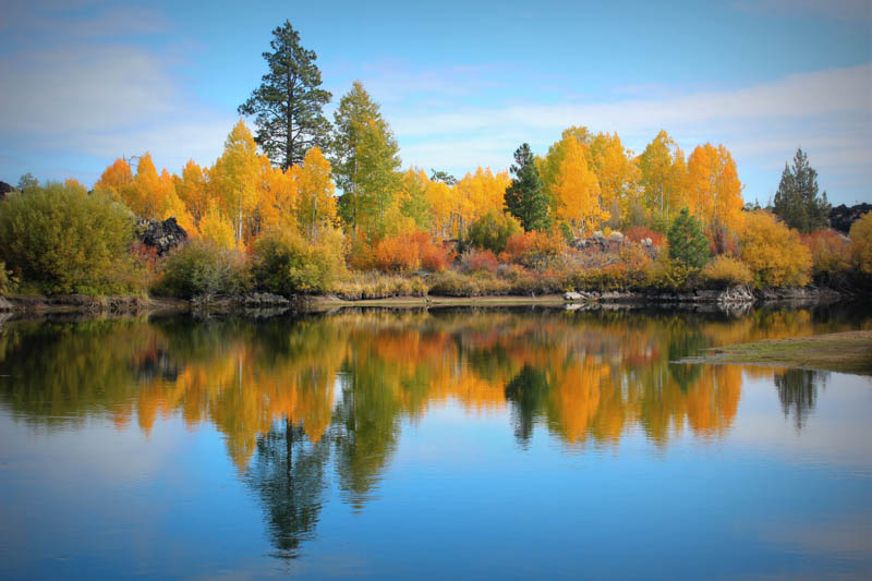 Dillon Falls Area, Bend Oregon