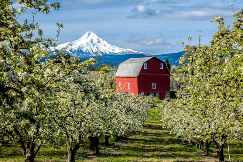 Hood River Oregon with view of Mount Hood