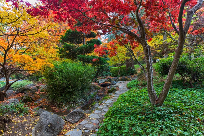 Fall colors at Lithia Park in Ashland, Oregon