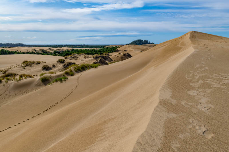 Oregon Dunes National Recreation Area in Oregon