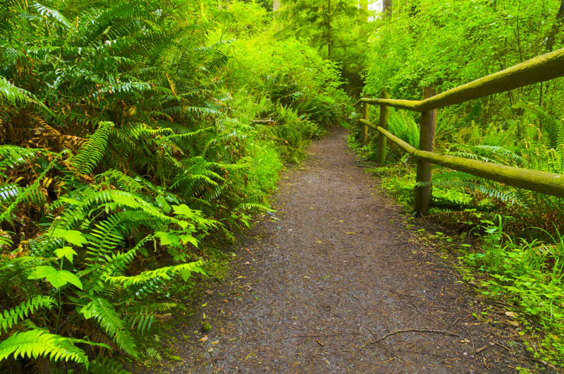 Hiking Trail in Deception Pass SP Washington, one of the best places to visit in the Pacific Northwest!