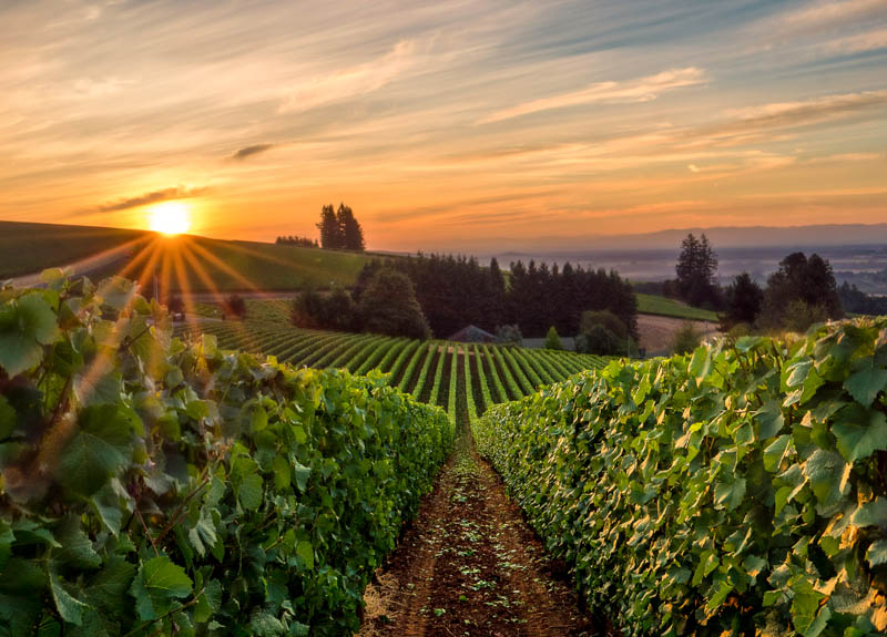 Sunrise at Willamette Valley in Oregon