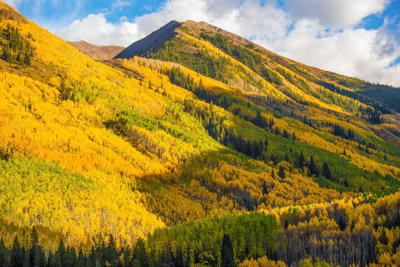 Fall colors in Aspen, Colorado