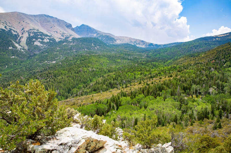 Beautiful landscape at Great Basin National Park in Nevada