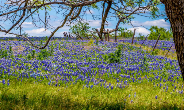 21 Terrific Places to Visit in Texas!