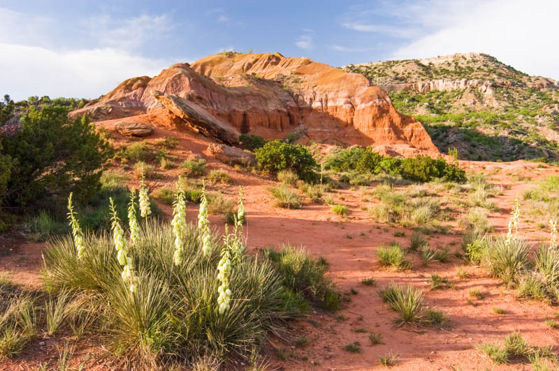 Palo Duro Canyon is one of the best places to visit in Texas. 