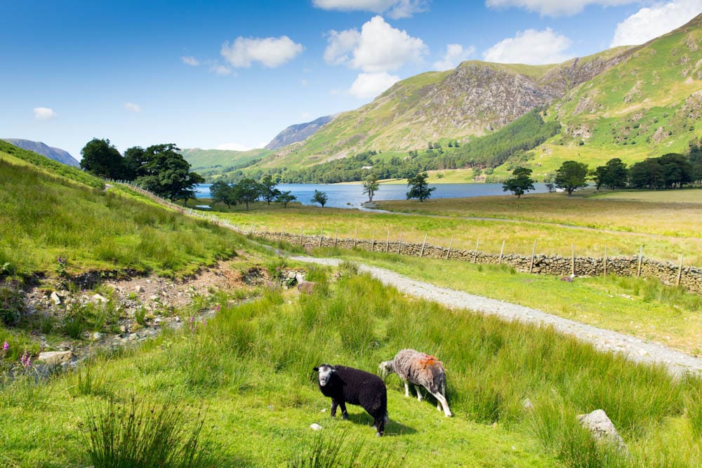 Crummock in The Lake District National Park, England