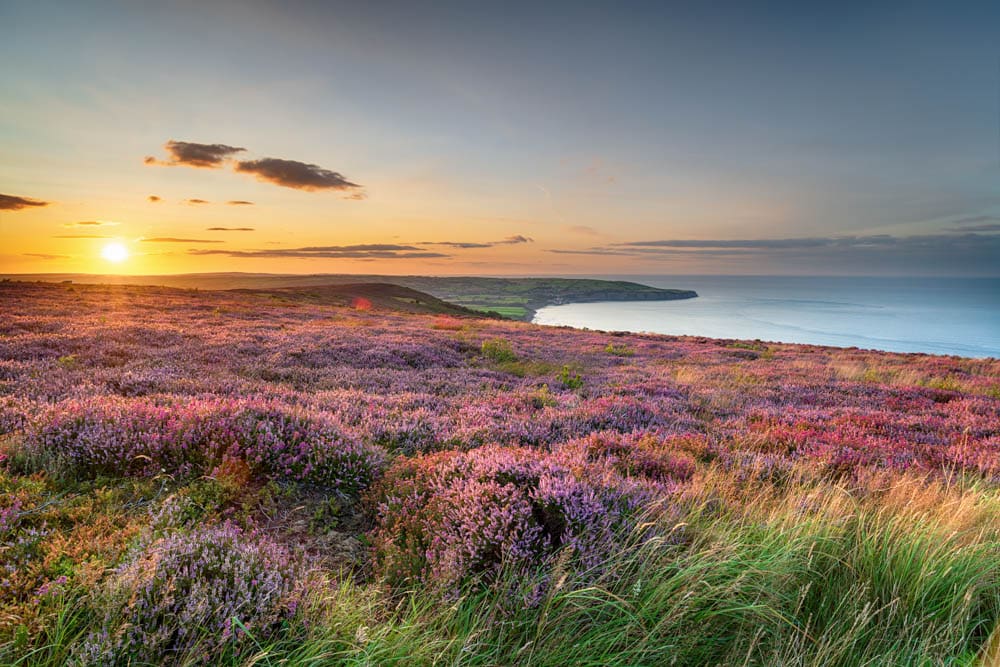 North York Moors National Park in England