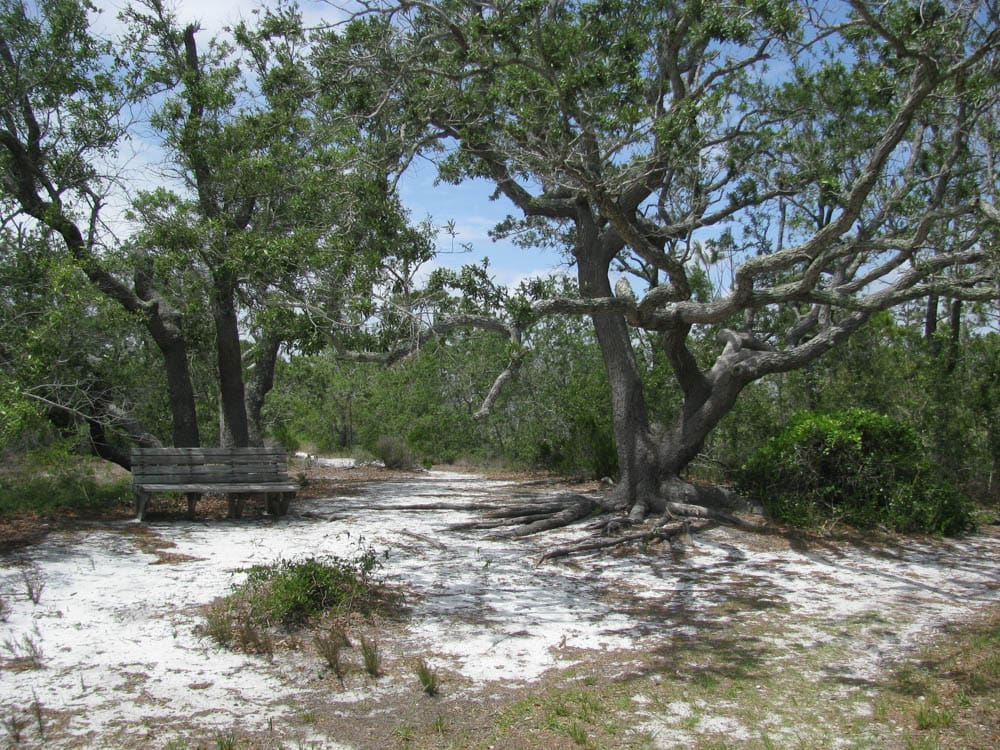 Trail at Gulf Islands National Seashore Fort Pickens Florida