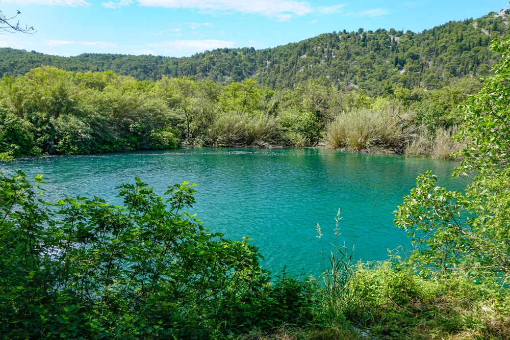 The Krka River flows through the park.