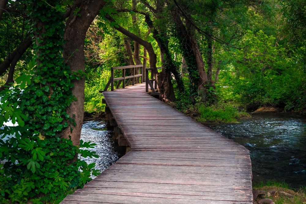 Boardwalk trail in Krka National Park, Croatia