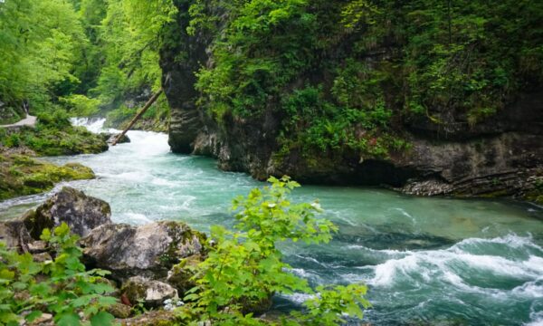Vintgar Gorge, Slovenia: Why You Should Visit, Plus Tips for a Great Experience!