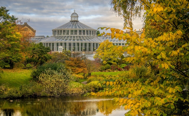 University of Copenhagen Botanical Gardens, Copenhagen, Denmark