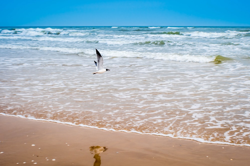 A beach on South Padre Island in Texas