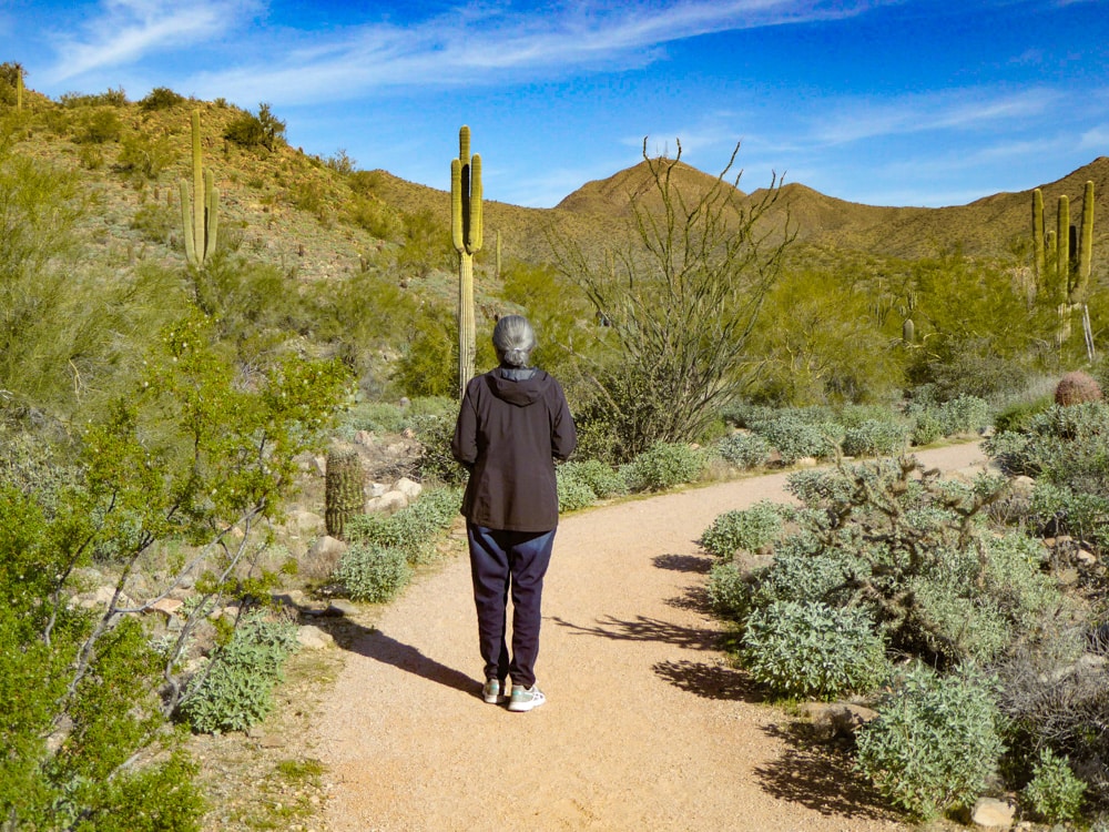 McDowell Sonoran Preserve in Scottsdale Arizona