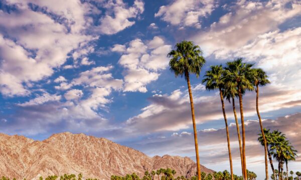 25 Awesome Things to Do in Palm Springs, California!