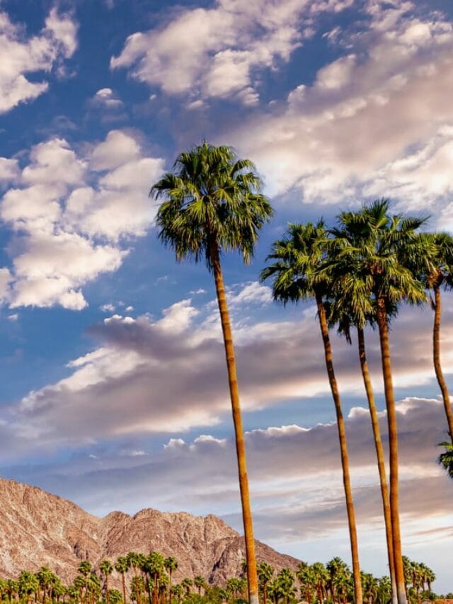 What to Do in Palm Springs California Story