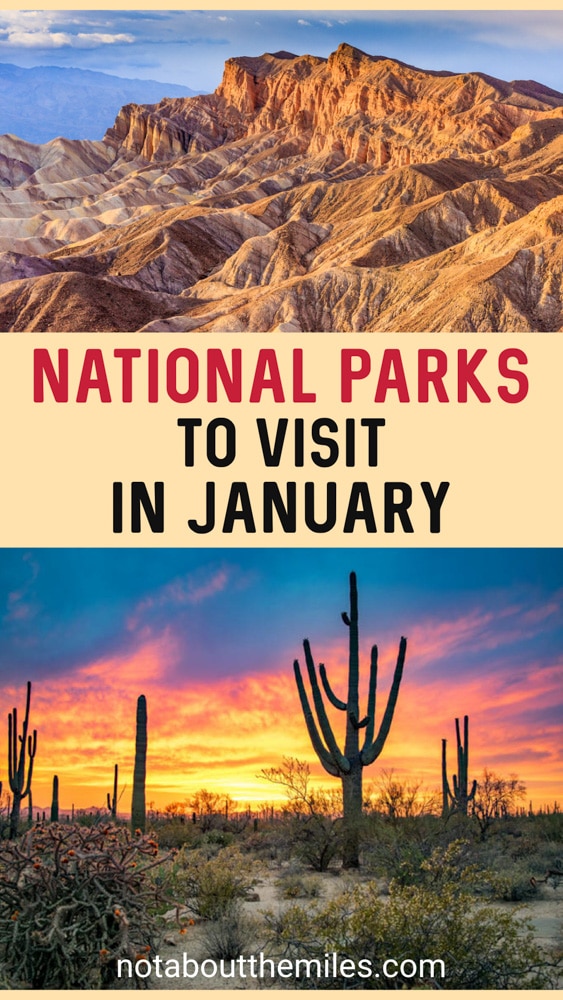Discover the best US national parks to visit in January, from beachy parks like Virgin Islands and Dry Tortugas to desert parks like Death Valley and Joshua Tree!