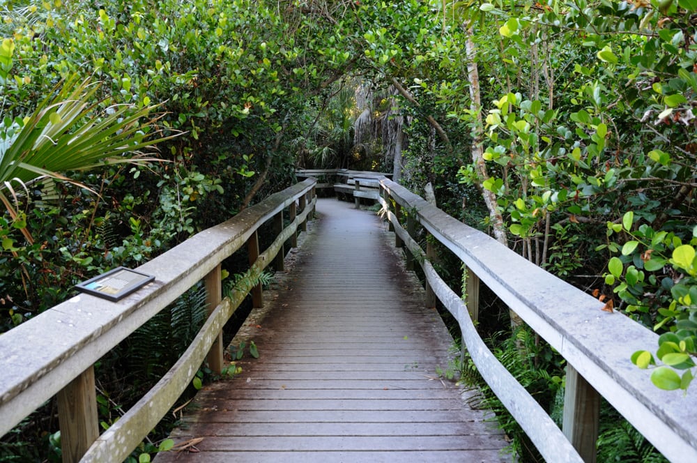 Boardwalk trail in Everglades NP in Florida