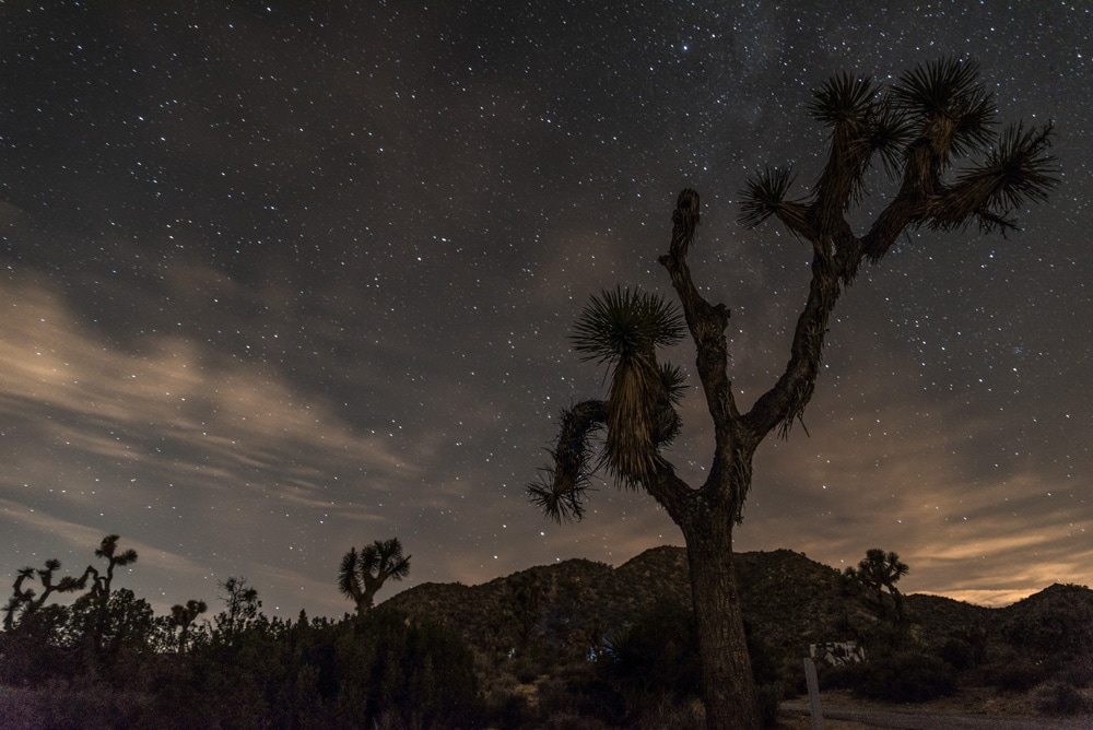 Night skies in Joshua Tree NP in California
