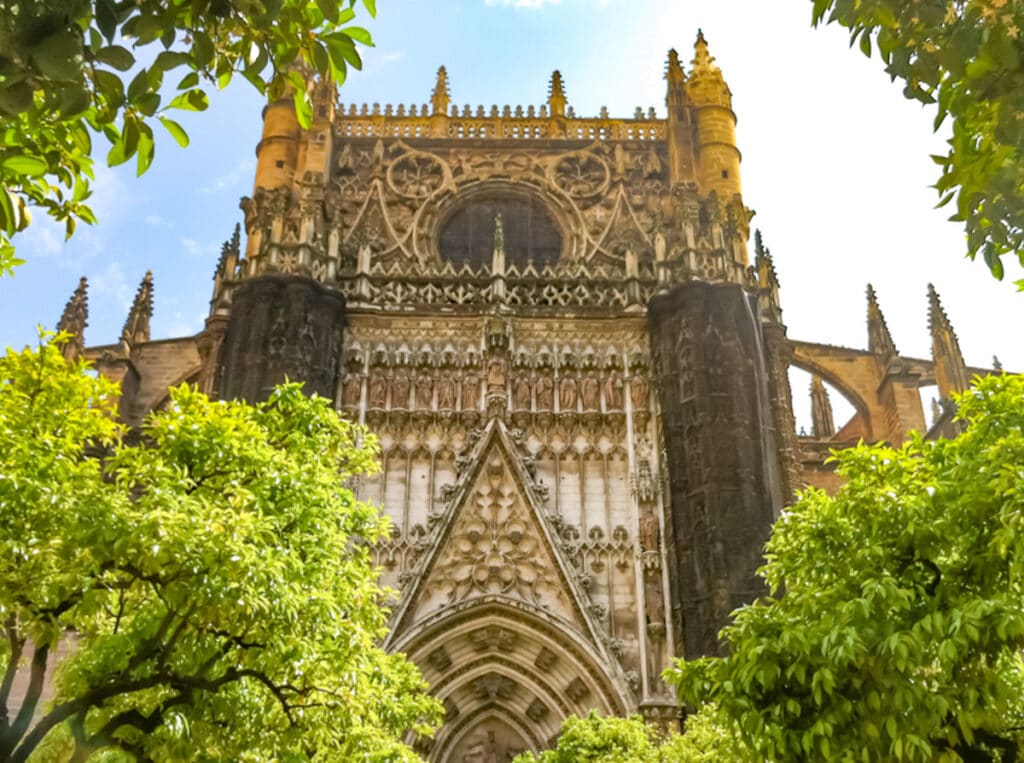 Orange trees at the Seville Cathedral in Spain