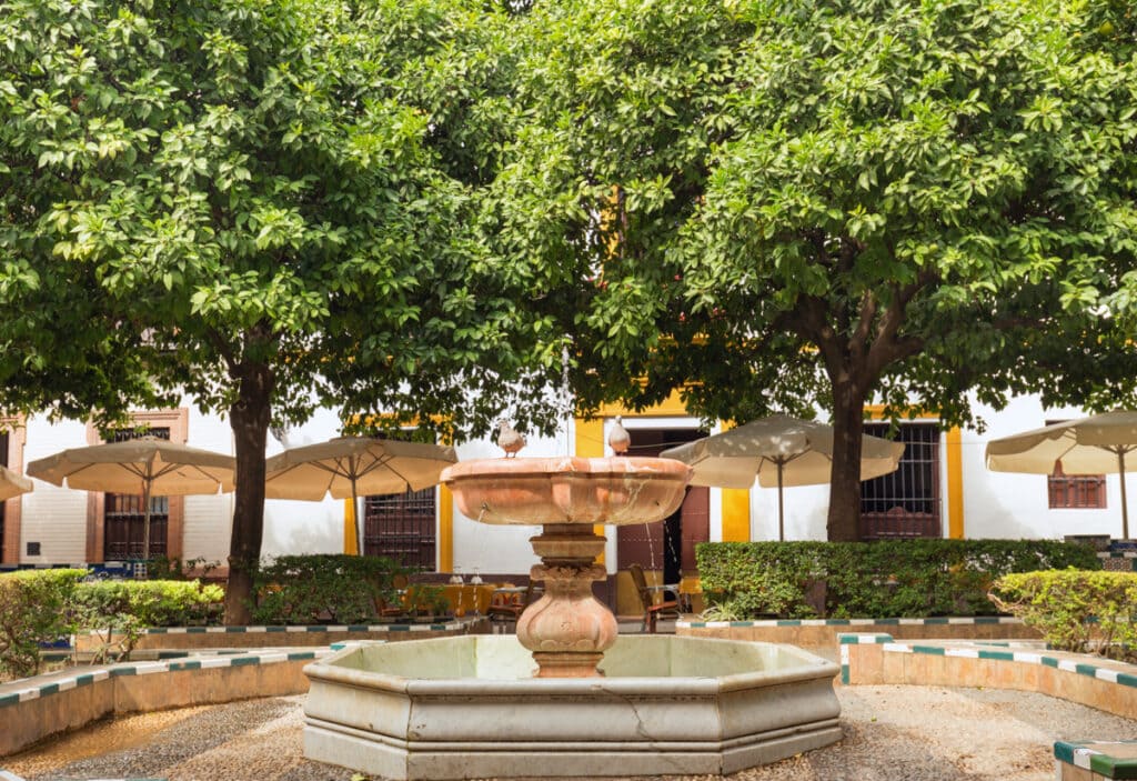 Plaza in Barrio Santa Cruz in Seville, Spain