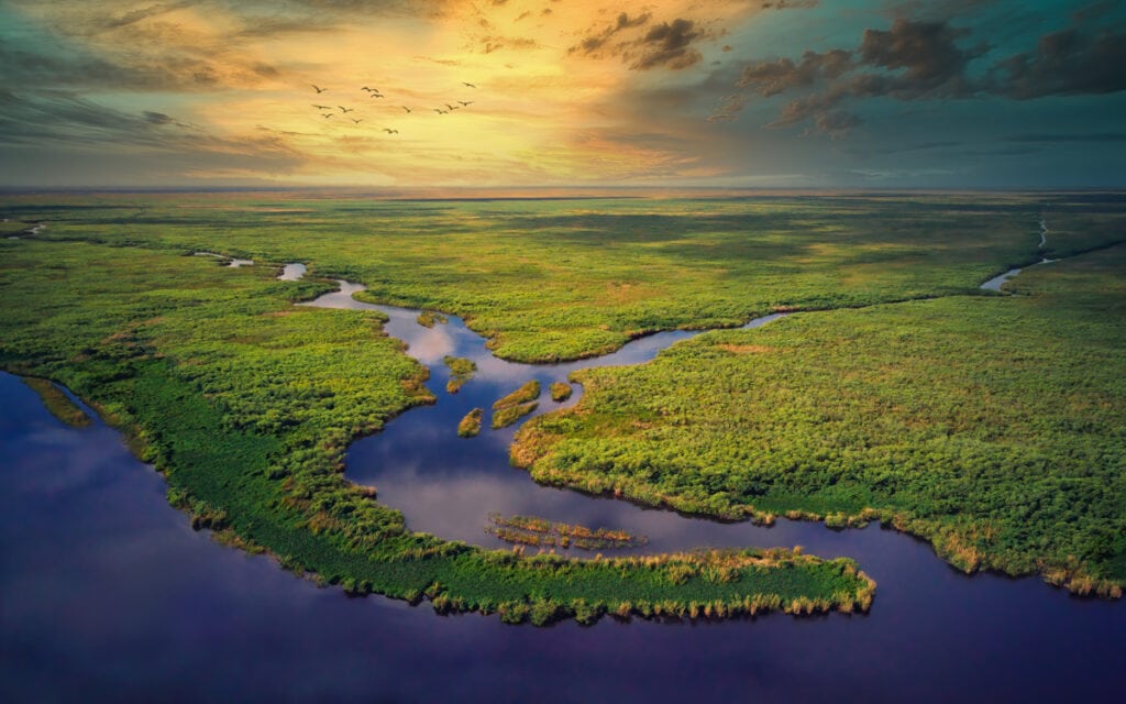 An aerial view of The Everglades in Florida