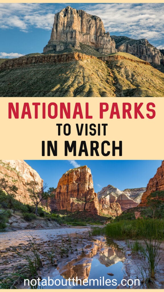 Discover the best national parks to visit in March, from Zion and Arches in Utah to Joshua Tree in California and Big bend in Texas!